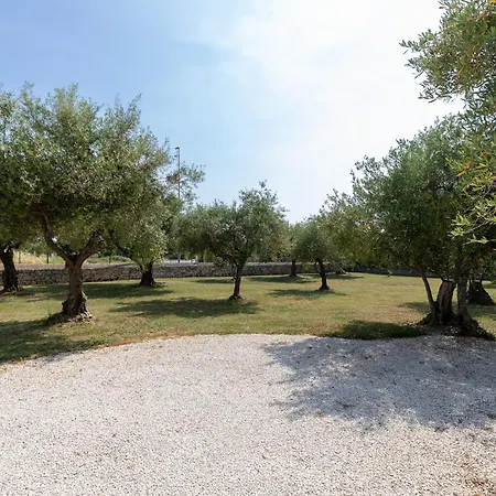 Appartamento Palace *